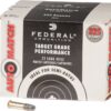 Federal Premium Champion AutoMatch .22 LR 40-Grain Rimfire Ammunition - 325 Rounds