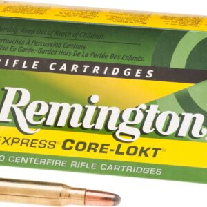 Remington Core-Lokt .308 Winchester 180-Grain Soft-Point Centerfire Rifle Ammunition