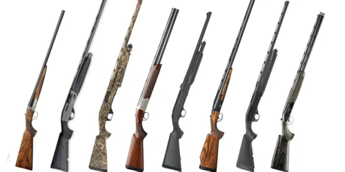 Best Elite Shotguns
